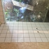 Wash room frameless glazing