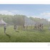 Competition Visualisation 2