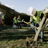 Fixing the foundations