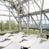 Canopy View.jpg