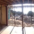 new openings