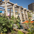 Construction pauses for a summer party