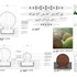 004_Orb Details