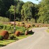 Entry Road with Orbs-min