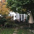 Before image from garden