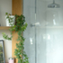 House_09