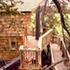 all in the trees_ rear balcony from a high