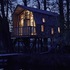 all in the trees_internal glow at dusk