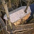 all in the trees_ birds eye view