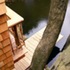 all in the trees_ balcony-jetty-tree