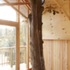 all in the trees_ tree through house