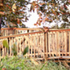 all in the trees_ walkway as landscape