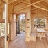 all in the trees_ interior view from front balcony