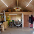 OC_11_shed internal to rear
