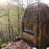 Nestled within the woodland