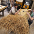Learning the techniques of long straw thatching