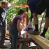 Constructing the timber frame