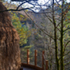 Immersed within the forest surrounding Llwyngwern quarry.