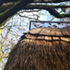 Thatch and cedar shakes