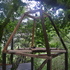 Primary timber frame, made from the salvaged brake rails from the old quarry railway 