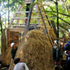 Raising the first roof panel