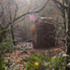Nestled in the woodland