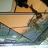 Ceiling