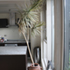 levels_ten+eleven-BEFORE IMAGE 05