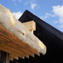 10 Canopy detail