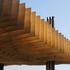 15 Canopy (edge)