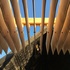 11 Canopy Detail