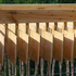 7 Canopy detail