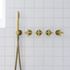 shower controls