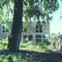 West house, developing a more intimate garden