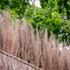 4WEA5BWJ0O049GJ_8_FFA_FBP_Wakehurst