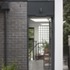 5FVTNZKJOEEA1P9_TAP_Printmaker_Studio_back_garden_view