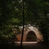BPQXNTF1H4QJQ5J_Westonbirt-JimStephenson-2_WebRes