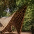BPQXNTF1H4QJQ5J_Westonbirt-JimStephenson-11_WebRes