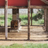I77GUQCGCBHLQV3_Mangotsfield_Folly-First_Shoot_Finals-HI_RES-0442_copy