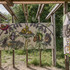 I77GUQCGCBHLQV3_DSC_2687_copy