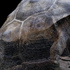 IBRNLE8V69N37E8_smallprojects
