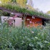JQ5J359BIAFN7V1_Roof_meadow_planting_BP_Rhizotron
