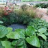 JQ5J359BIAFN7V1_Rainshower_Pool_BP_Rhizotron