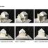 M7W28HI39X4QA9Q_11_Card_model_study