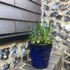 M7W28HI39X4QA9Q_05_Tiles_and_flint_details-MM