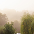 VGQ9NNYWK13DSYK__AOMD_GardenStudio_02_MD_AJ