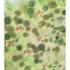 VNO1B4WRLKW1MMQ_1-301-Site_Plan