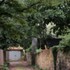 Ian_Chalk_Architects-6OPNY7YERFEZ1HB6OPNY7YERFEZ1HB_230704_RA_ICA_Oak_Tree_House_48_Shooters_Road_01