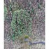 Linearchitecture-FD8CG9KOW37221RFD8CG9KOW37221R_BNS_Aerial_Site_plan