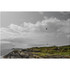 McGinlay_Bell-T3U2VWBRP3VGVLFT3U2VWBRP3VGVLF_McGinlay_Bell_Island_Retreat_Materials_Delivery_10